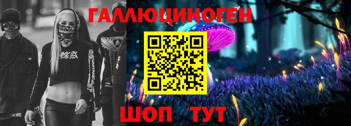 Псилоцибиновые грибы Cubensis Усть-Илимск