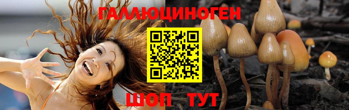 Усть-Илимск  Псилоцибиновые грибы Psilocybe  наркота  Вход с VPN 
